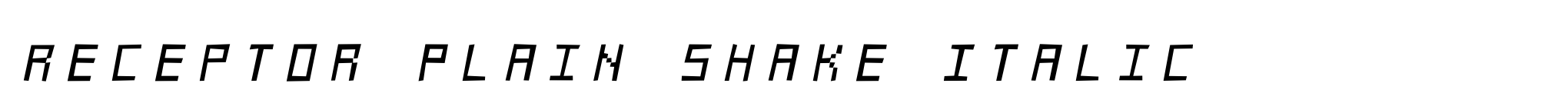 Receptor Plain Shake Italic image